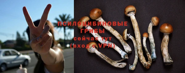 стафф Абинск