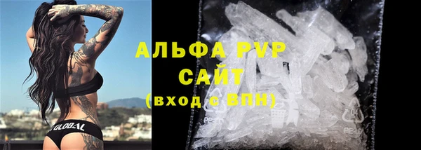 прущие грибы Абаза