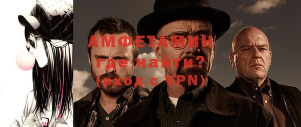 прущие грибы Абаза