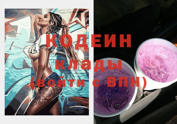 прущие грибы Абаза