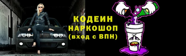 прущие грибы Абаза