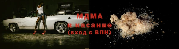 прущие грибы Абаза