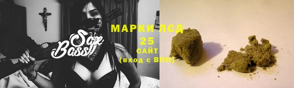 прущие грибы Абаза