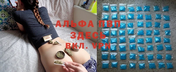 стафф Абинск