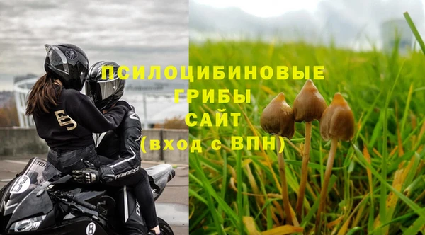 амф Саяногорск