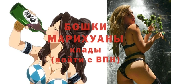 прущие грибы Абаза