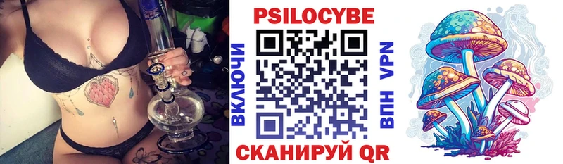 где найти наркотики  Кедровый  Галлюциногенные грибы ЛСД 